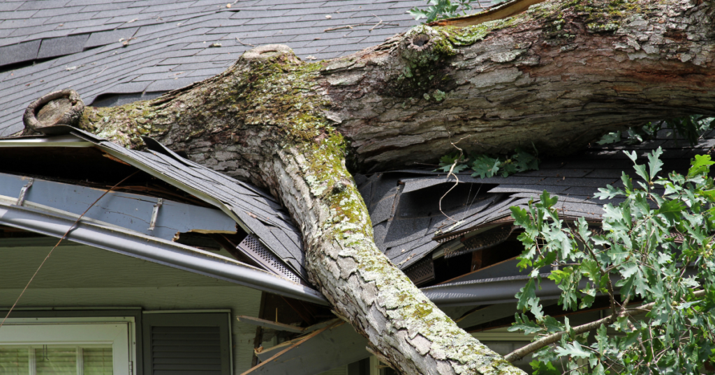 Tree fallen on a residential roof causing storm damage and insurance claim repairs in Middle Tennessee.