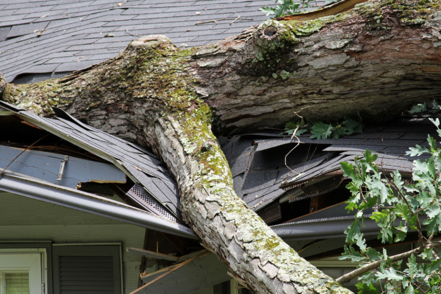 Tree fallen on a residential roof causing storm damage and insurance claim repairs in Middle Tennessee.